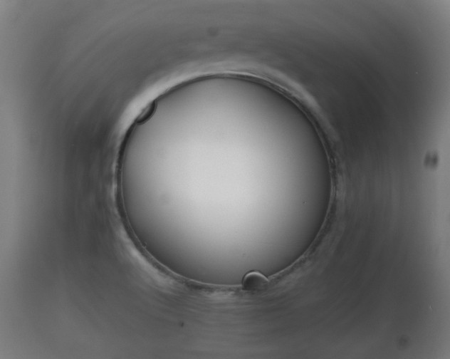 X0000110931512200906251321