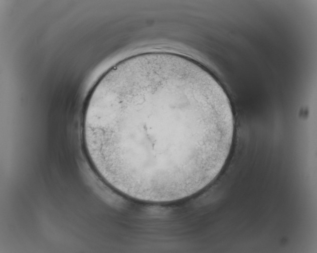 X0000110931514200906251321