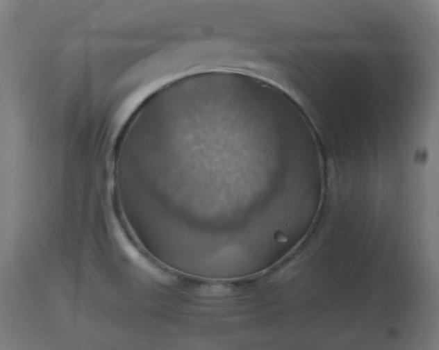 X0000110931515200906251321