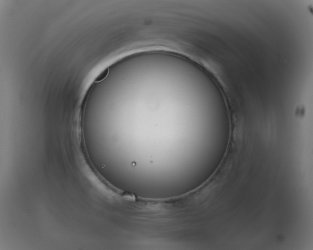 X0000110931516200906251321