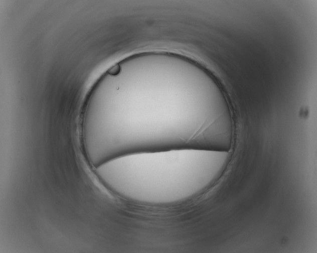 X0000110931517200906251321