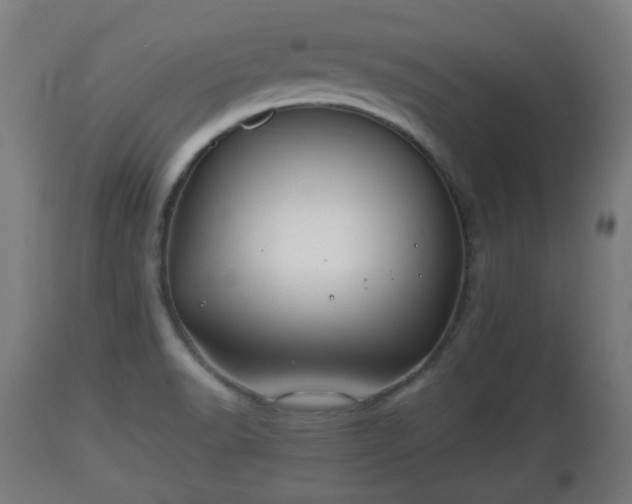 X0000110931518200906251321