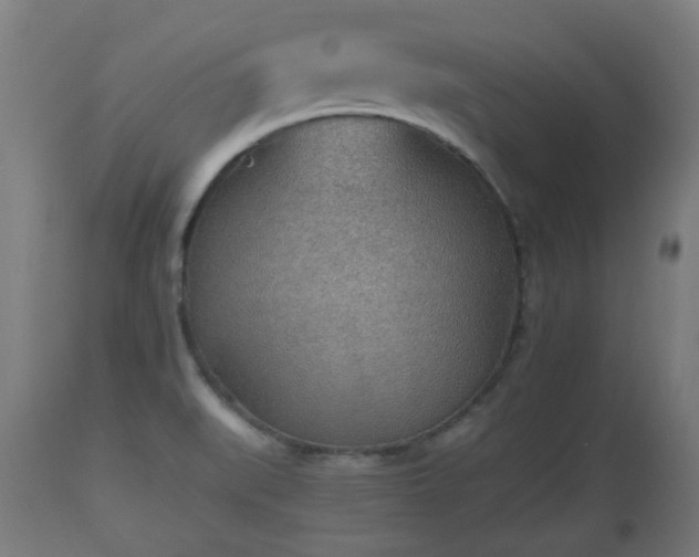 X0000110931519200906251321