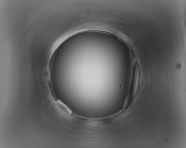 X0000110931520200906251321