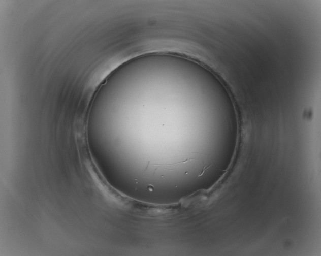 X0000110931521200906251321