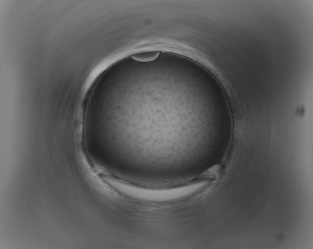 X0000110931522200906251321