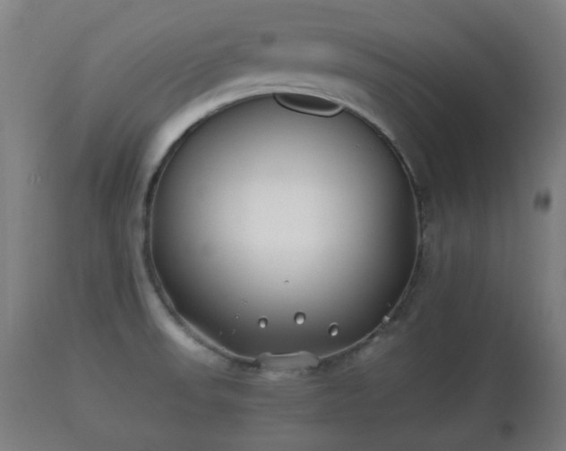 X0000110931523200906251321