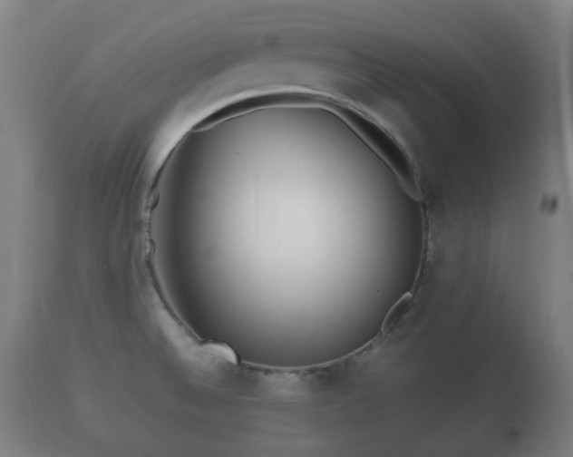 X0000110931524200906251321