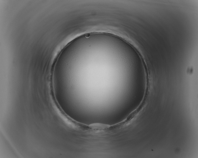X0000110931525200906251321