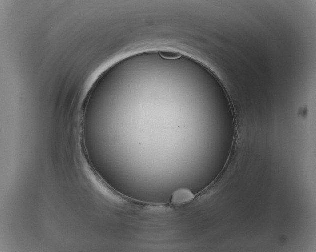 X0000110931526200906251321