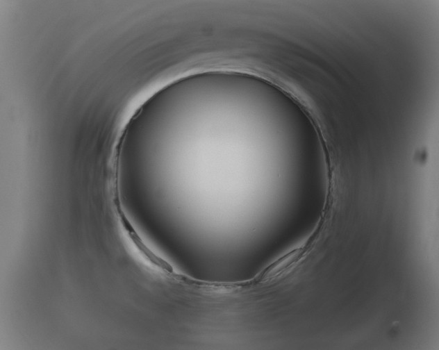 X0000110931528200906251321