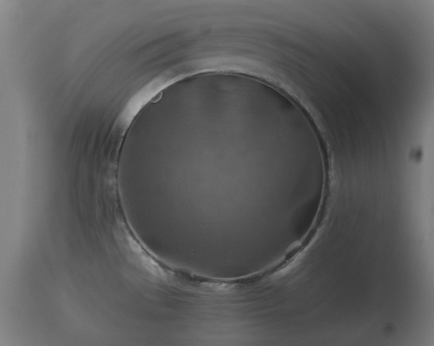 X0000110931529200906251321