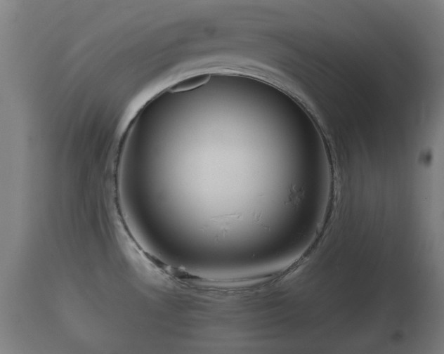 X0000110931530200906251321