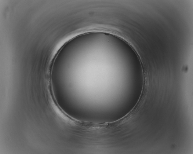 X0000110931531200906251321