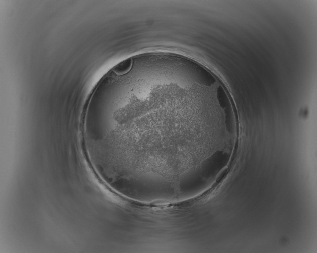X0000110931533200906251321