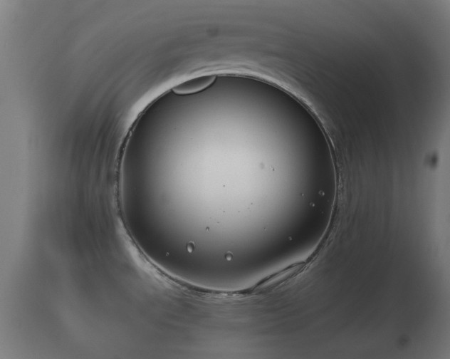 X0000110931534200906251321