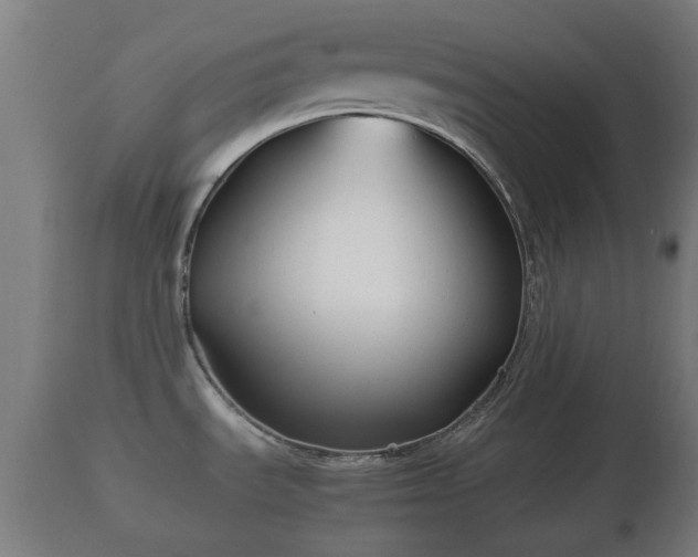 X0000110931535200906251321