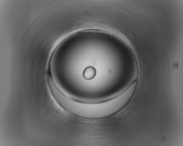X0000110931536200906251321