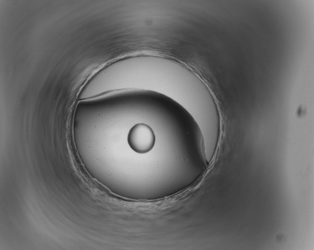 X0000110930001200907021535