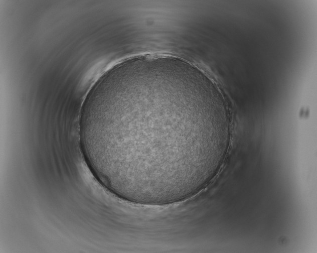 X0000110930002200907021535