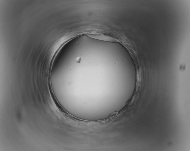X0000110930003200907021534