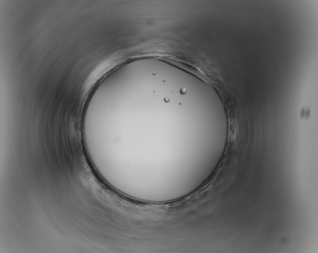 X0000110930004200907021534