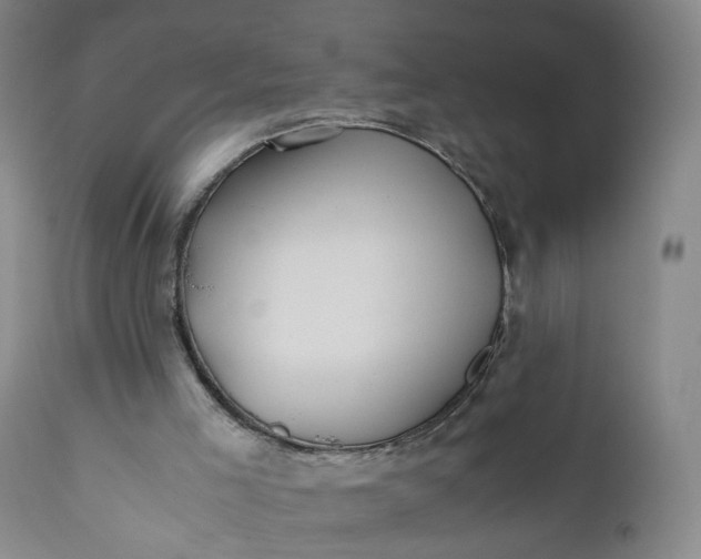 X0000110930005200907021534