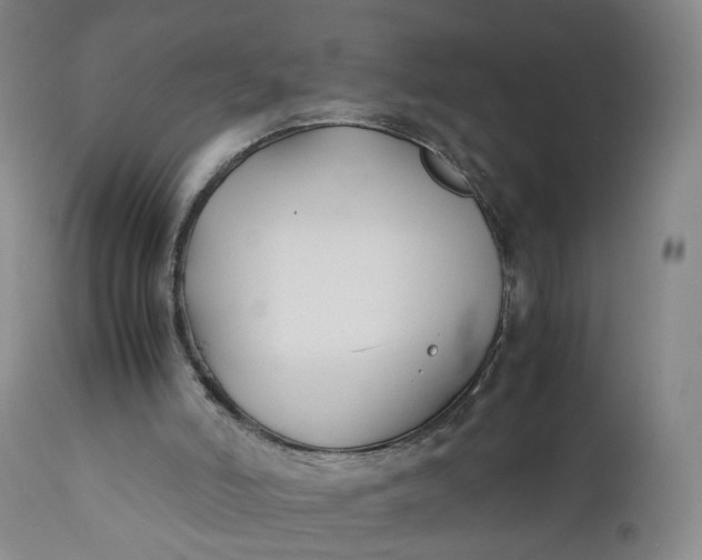 X0000110930006200907021534