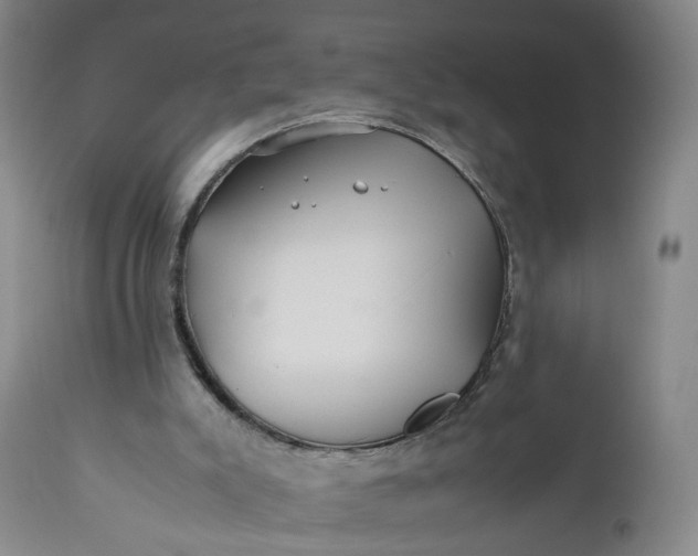 X0000110930007200907021534