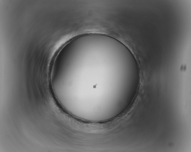 X0000110930008200907021534