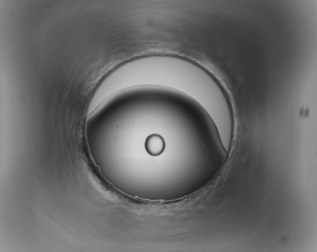 X0000110930009200907021534