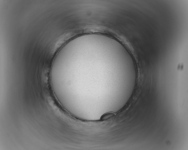 X0000110930010200907021534