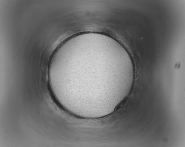 X0000110930011200907021534