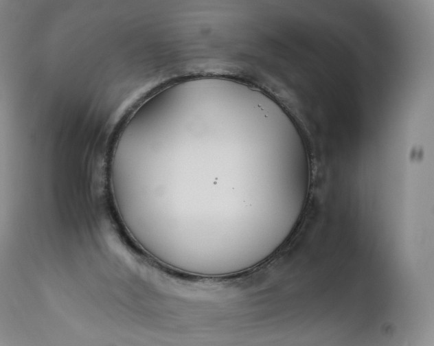 X0000110930012200907021534