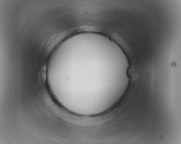 X0000110930014200907021534