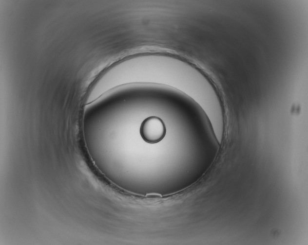 X0000110930015200907021534