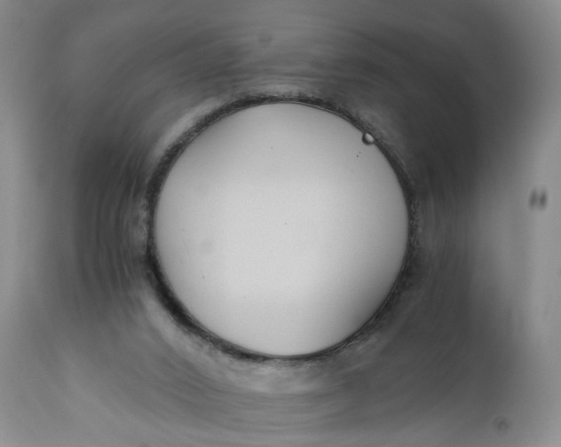 X0000110930016200907021534