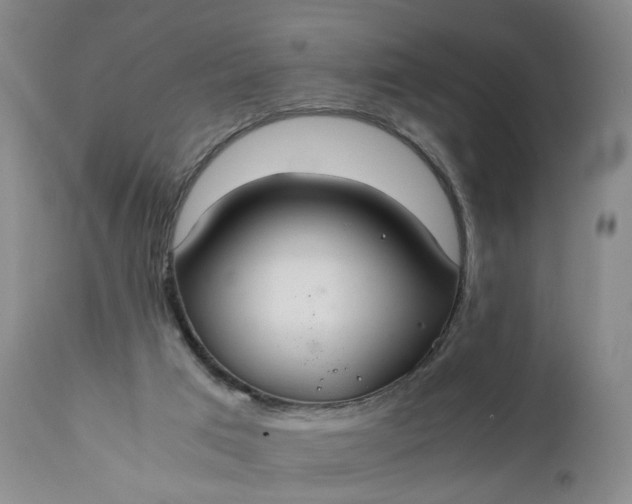 X0000110930017200907021534