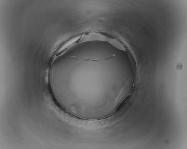 X0000110930019200907021534