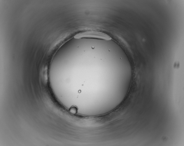 X0000110930020200907021534