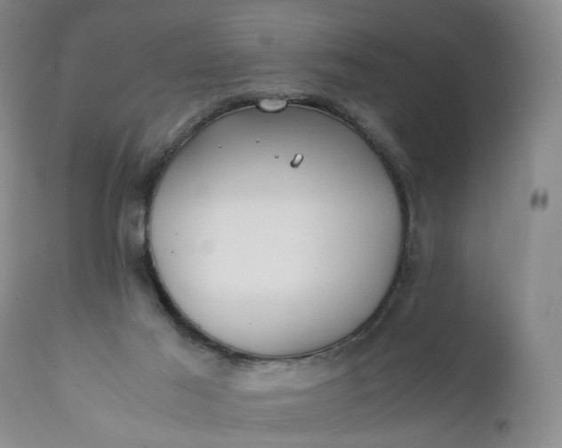 X0000110930021200907021534