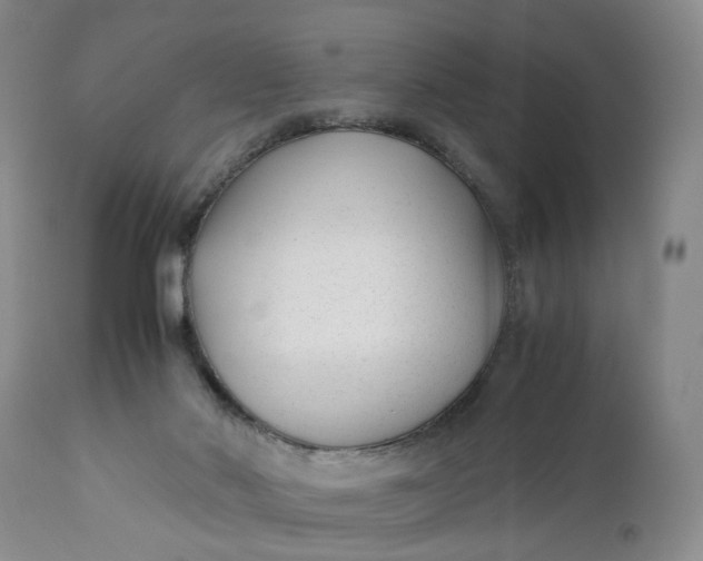 X0000110930022200907021534