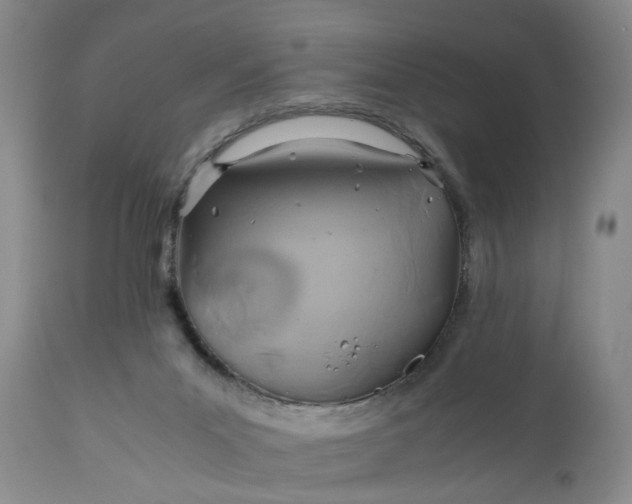 X0000110930023200907021534