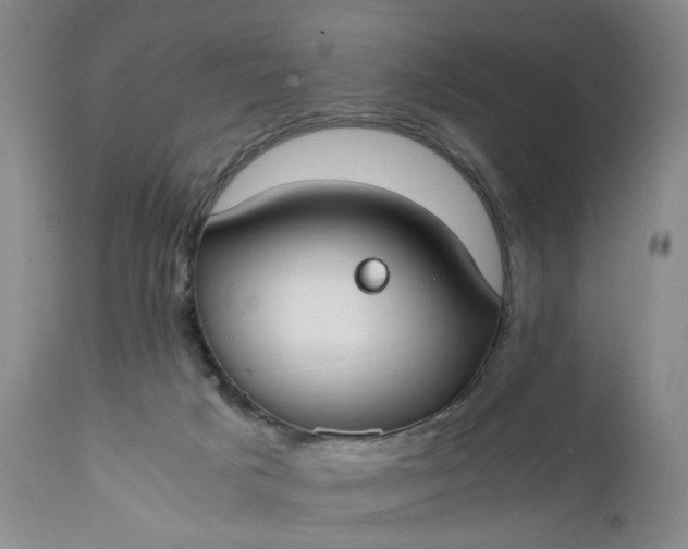 X0000110930025200907021534