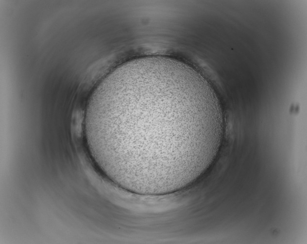 X0000110930026200907021534