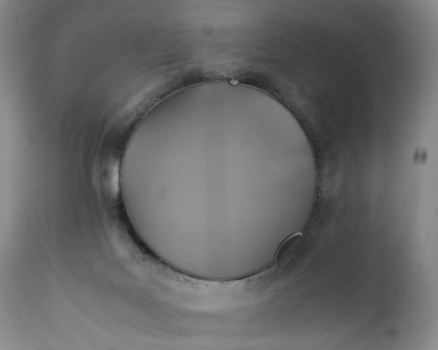 X0000110930027200907021534