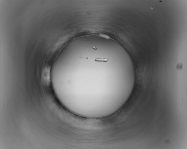 X0000110930028200907021534