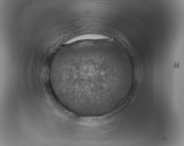 X0000110930029200907021534