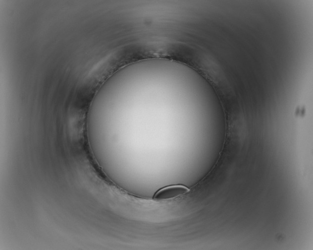 X0000110930030200907021534