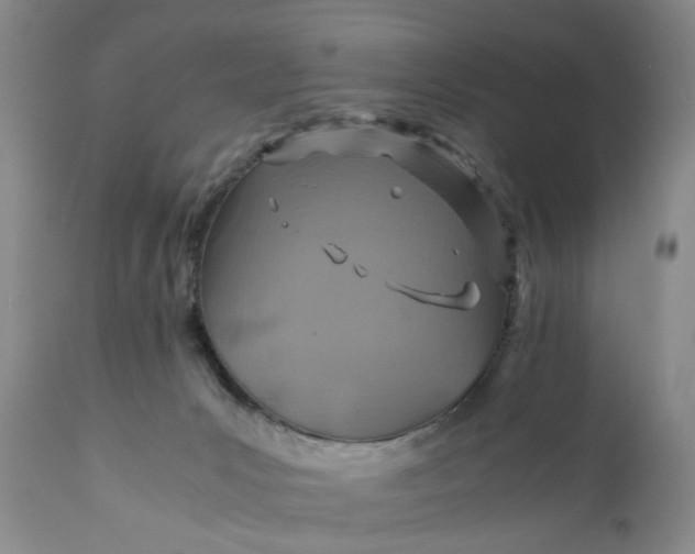 X0000110930031200907021534